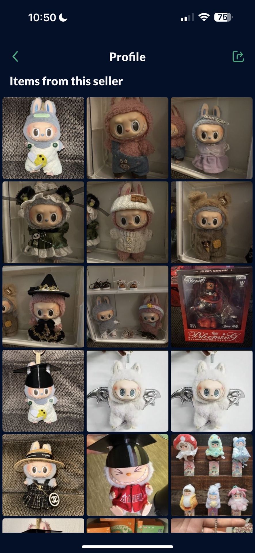 All Labubus And Popmart Items