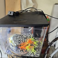 Fish Tank W Filter