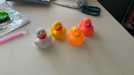 Ducks