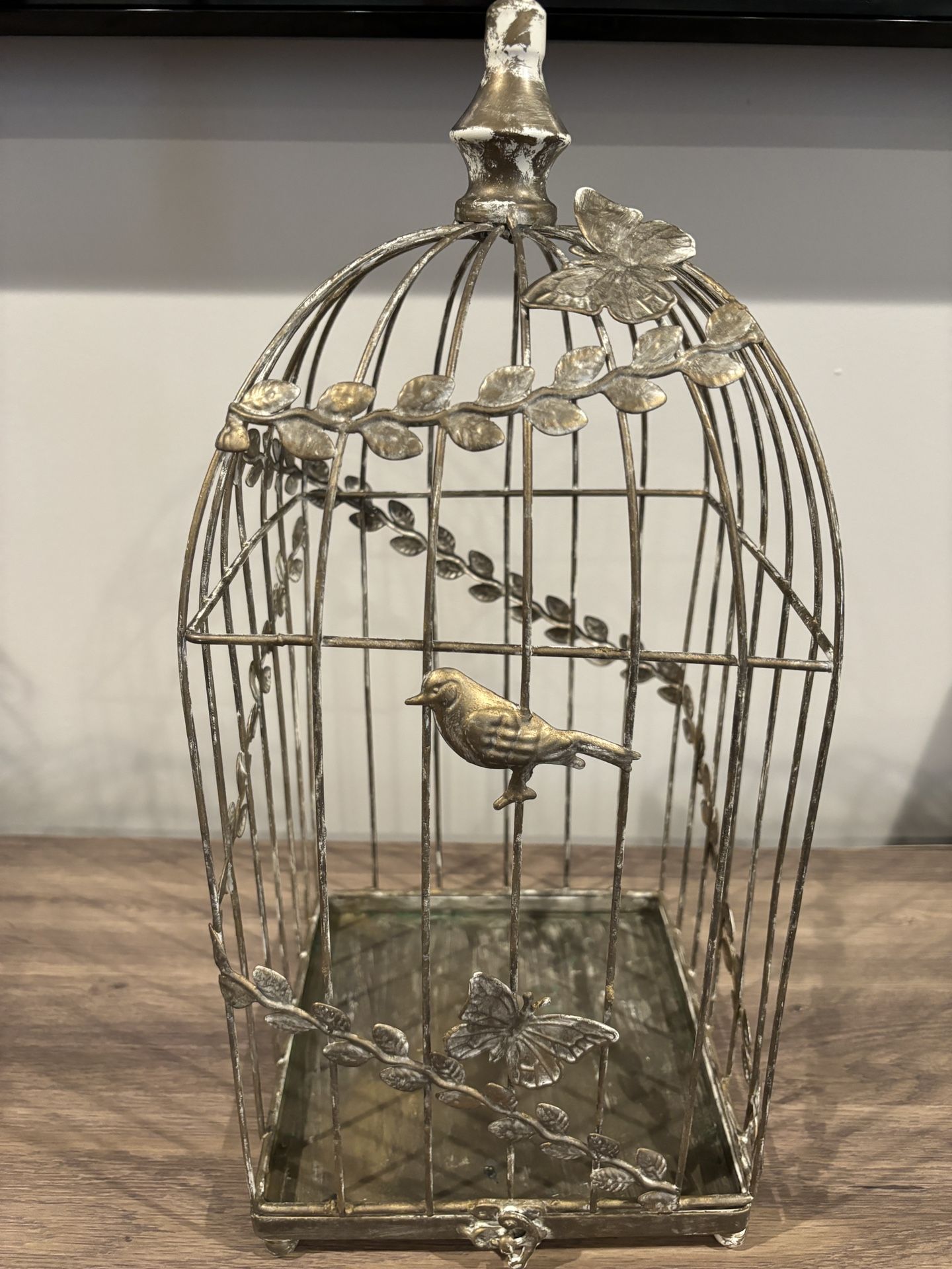 Bird Cage