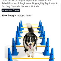 Dog Agility - Rehab Cones