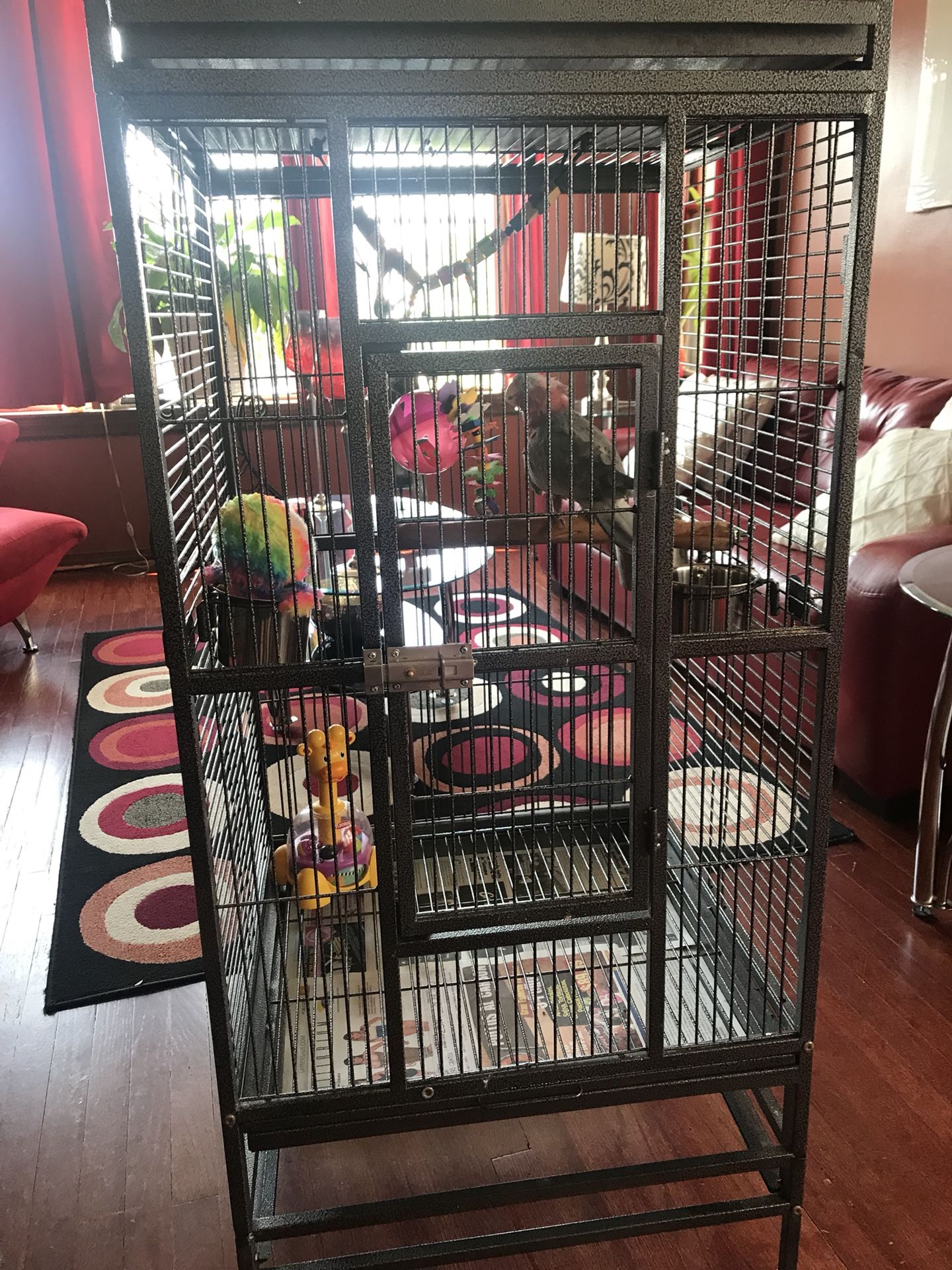 Rod iron bird cage fix’s great for a parrot as well in almost new condition with bowls included as well!!