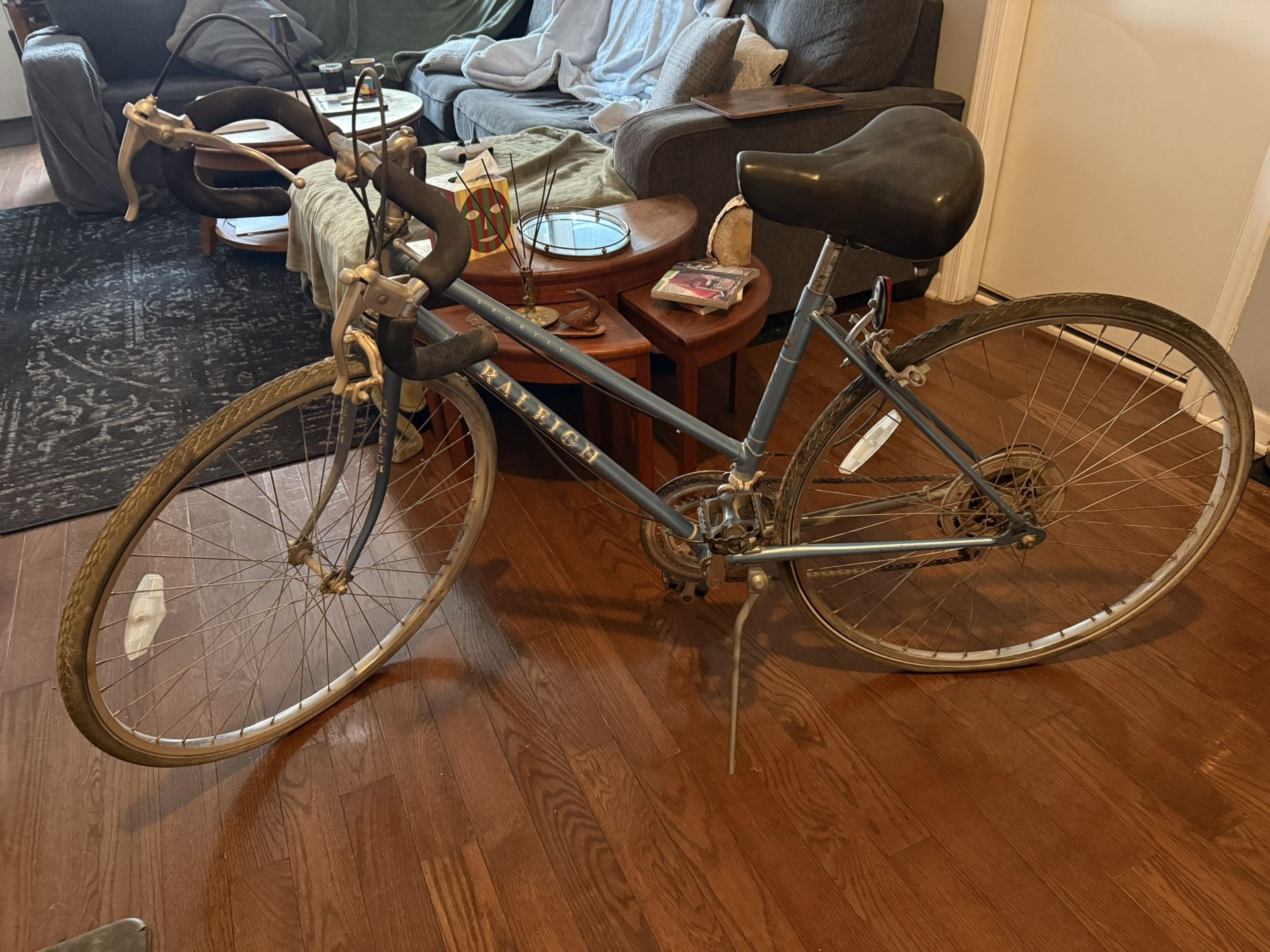 Raleigh Geared Bicycle