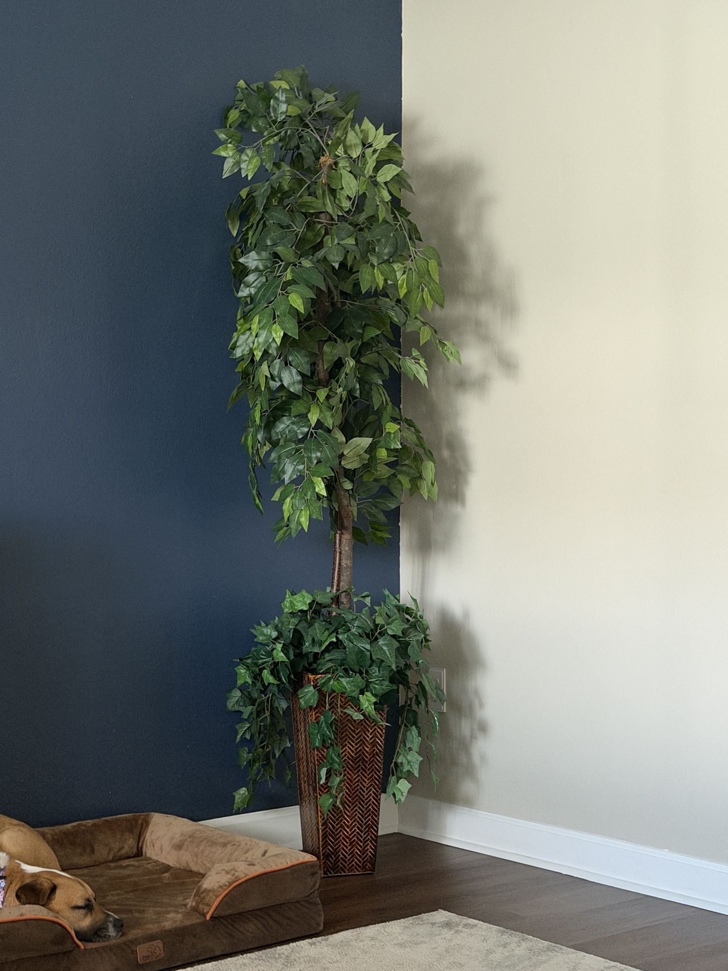 Indoor Plants (Fake) $50 Each