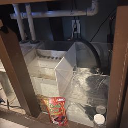 220 Gallon Fish Tank 