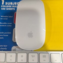APPLE MOUSE AND KEYBOARD