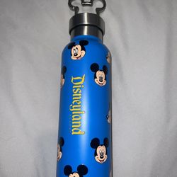 Disney mickey thermos flask