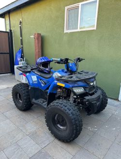 Rival MUDHAWK 10 120cc ATV