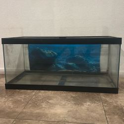 Fish Tank 