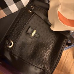 America Woman’s Purse