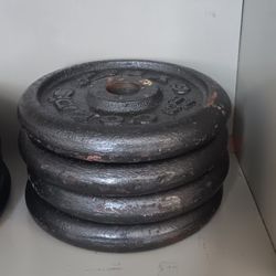 20 Pound Weights 