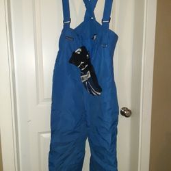 Snow pants and/or  gloves