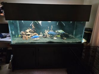 225 gallon Glass fish tank
