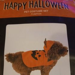 2pc Pumpkin Halloween Dog Costume