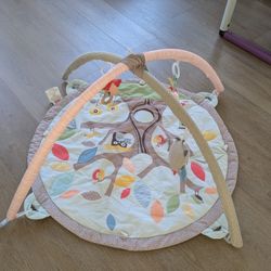 Skip Hop Play Gym