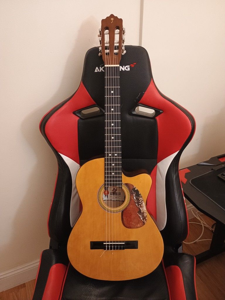 Acoustic Classic Guitar Palmer