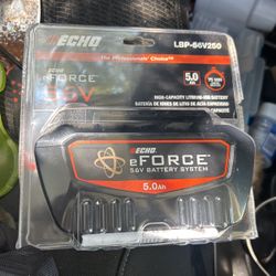 ECHO e force 56V