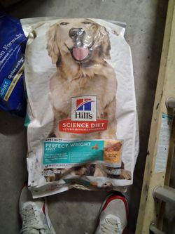 Dog food