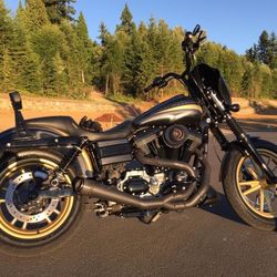 2009 Dyna Glide