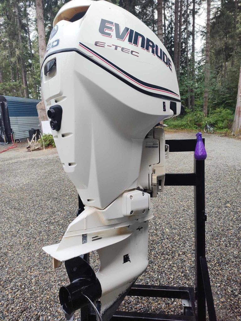 Evinrude Etec