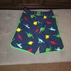 Dinosaur Swimming Shorts 