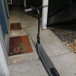Electric Scooter 