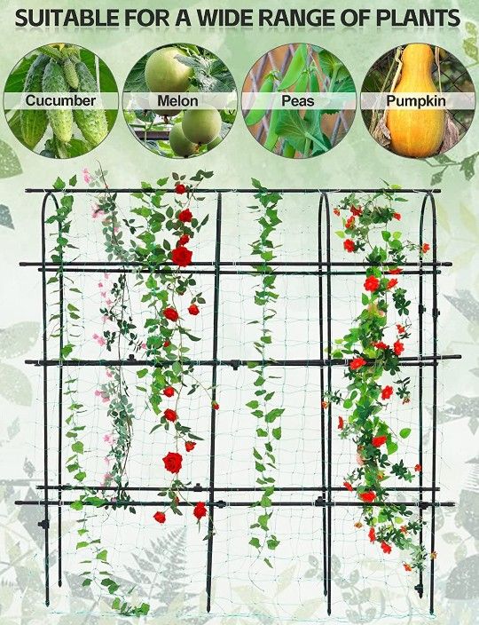 6x6 Feet Garden Trellis For Climbing Plants