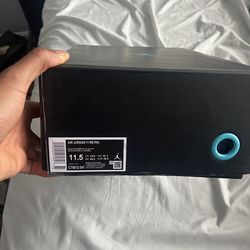 Gamma Jordan 11 size 11.5