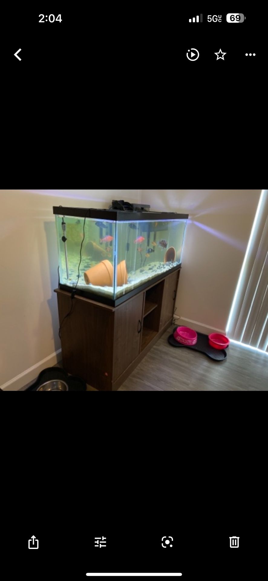 Fish Tank 75 Gallon (complete W Filter Wooden Stand And Other Accessories )