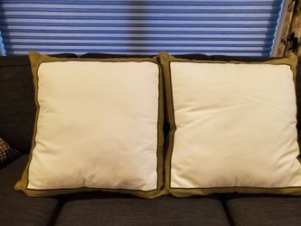 Two Euro shams. Olive green border.