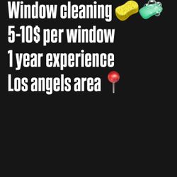 Window Cleaning Service 