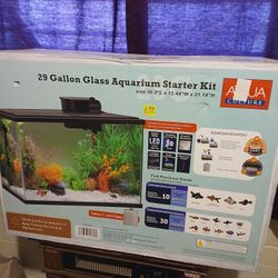 Fish Tank