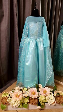 Elsa frozen dress costume