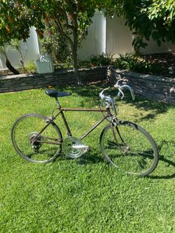 Vintage 1972 Gd. Cond. Junior Size Schwinn Varsity Bicycle