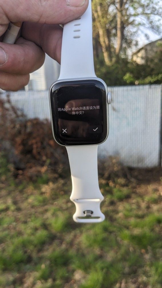 Apple Watch
