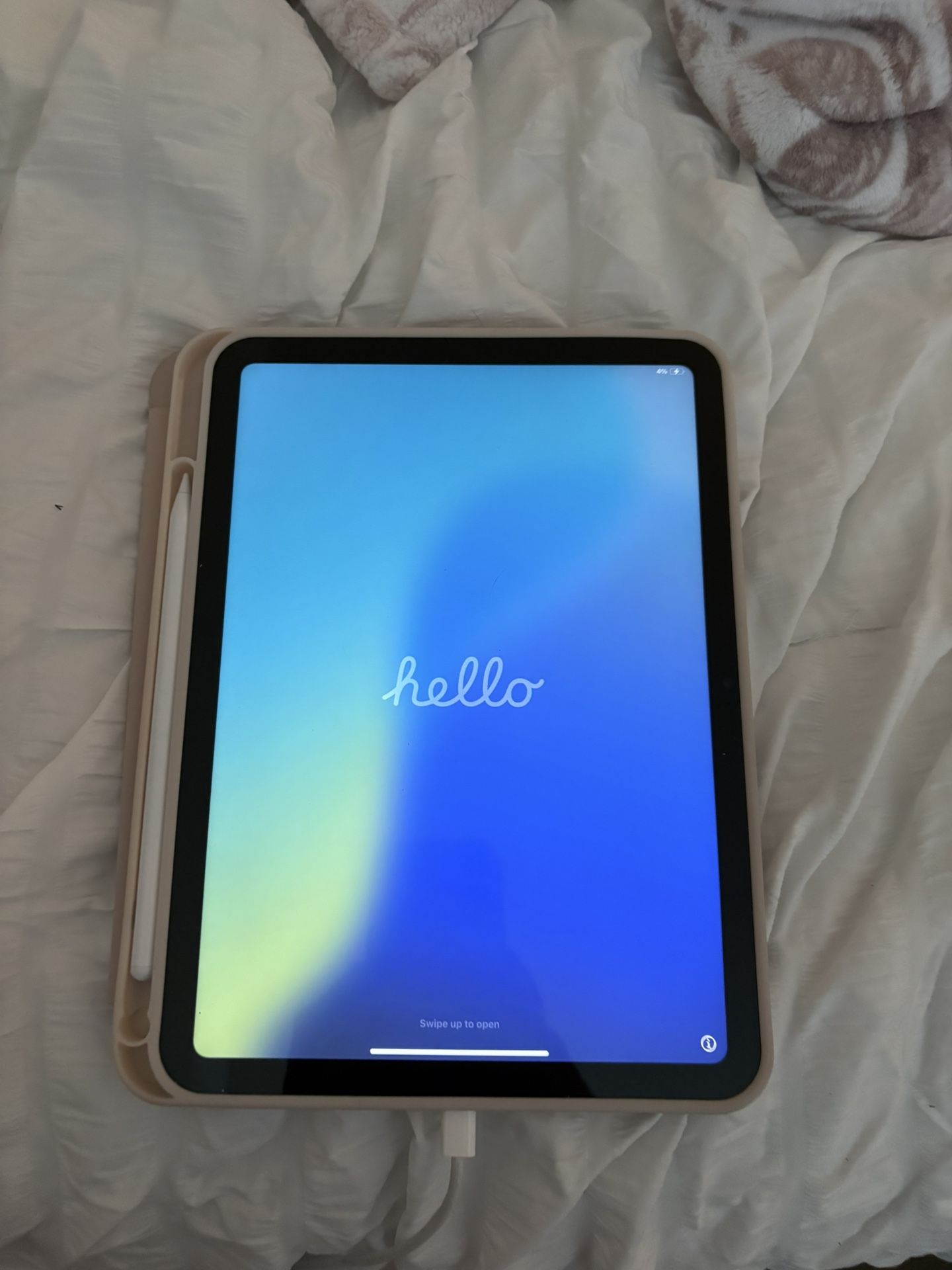Apple iPad 10th Generation 256 GB - Case & Apple Pencil Included