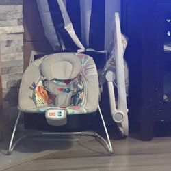Bouncer And Sit Up Chair 