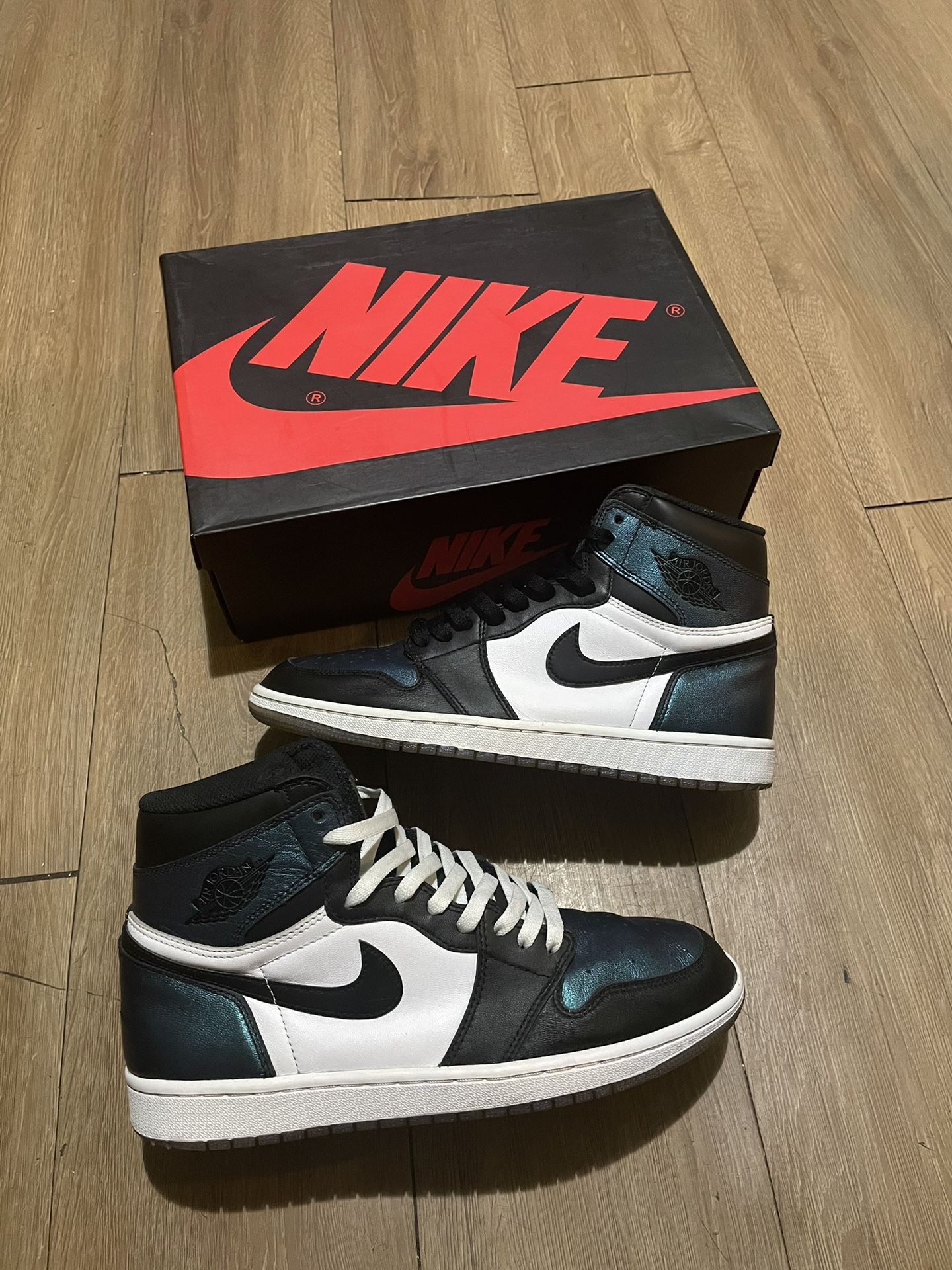 Chameleon Jordan 1s
