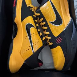 DS Kobe 5 Protro Bruce Lee
