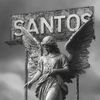 Santos Products 