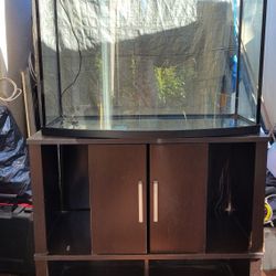 Fish Tank With Stand