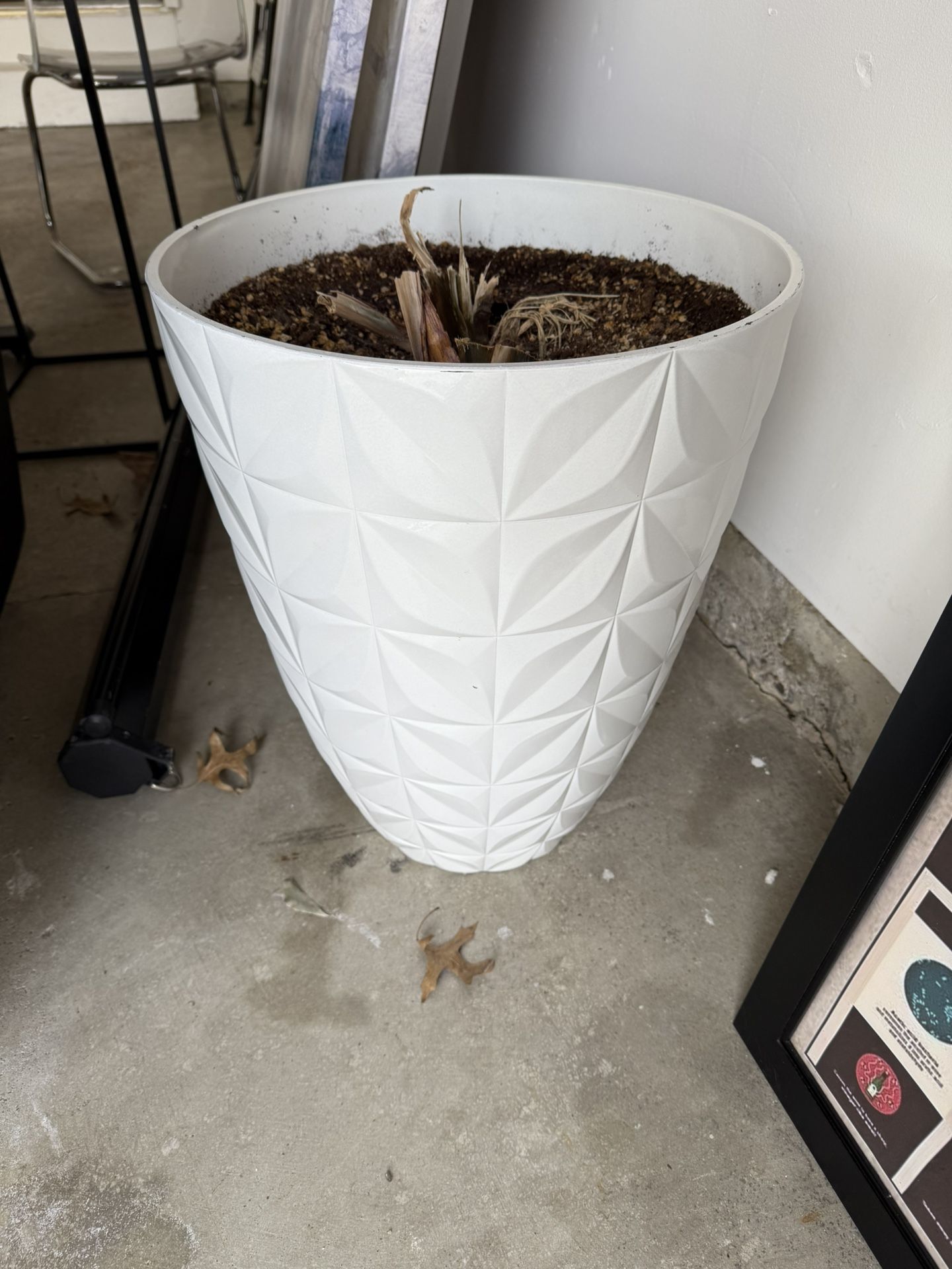 Plant Pot
