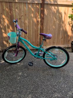 Schwinn Elm 20 Inch Wheel Kids Bike Teal Green
