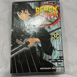 Demon Slayer  Manga Vol 12