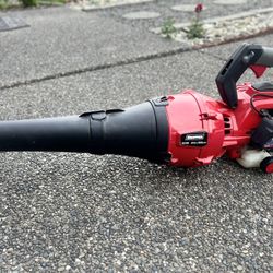 Leaf Blower 