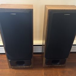 Pair Of Pioneer CS-R570