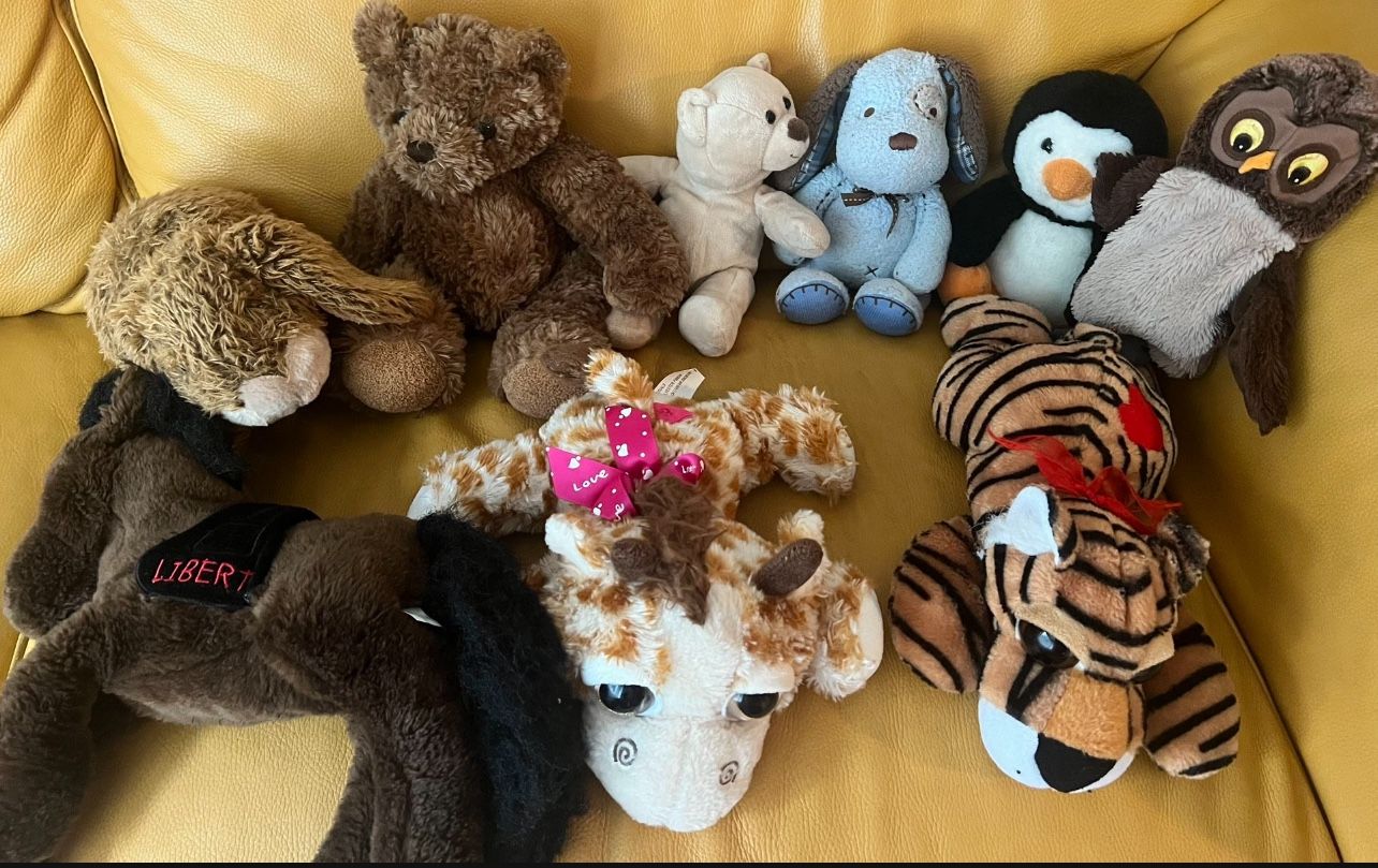 $10 All Adorable Stuffed Animal Lot β Variety of Animals! β $10
