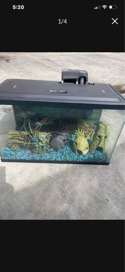 Fish tank
