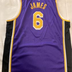 NBA Nike Los Angeles Lakers Lebron James #6 Purple & Black XL Jersey