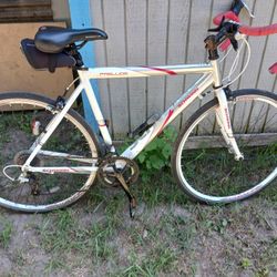 Shewing Bike   Perfect Conditions